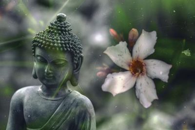 Đức Phật dạy: 5 việc làm này rất dễ được PHƯỚC, kiên trì càng lâu thì phước sẽ càng sâu!