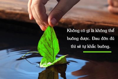 Lời Phật dạy về sự đau khổ và hạnh phúc